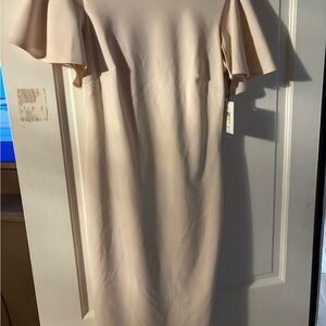 Calvin Klein Pale Pink Midi Dress V back cut with Flutter Sleeves